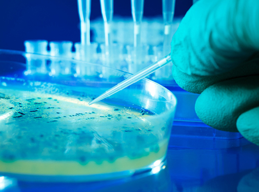 Microbiological Analysis